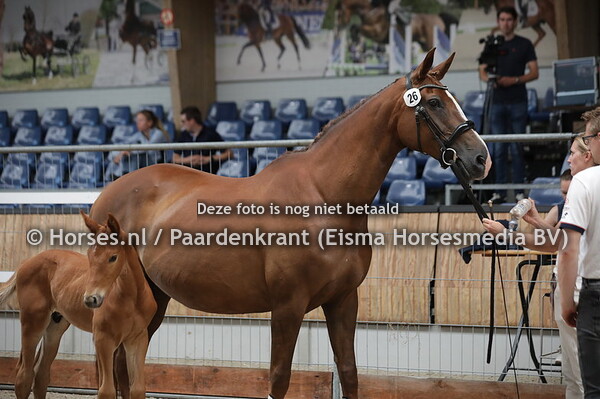 26 Cabanna- Carla (Florencio x Fleuriecarla)