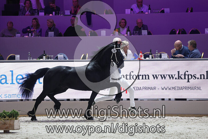 Trinus fan Deelsicht v. Dedmer 519