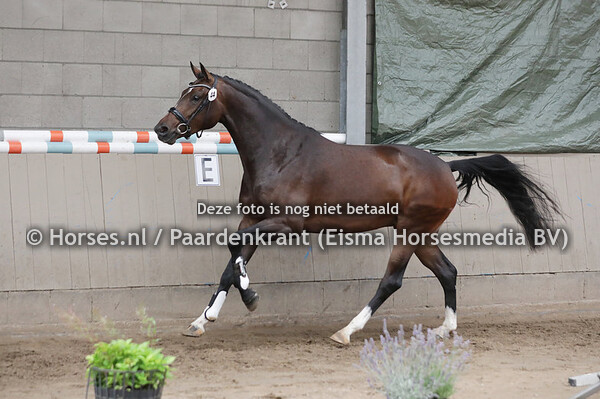 44 O'Chanory (Just Wimphof x Chanory v. Tolando)