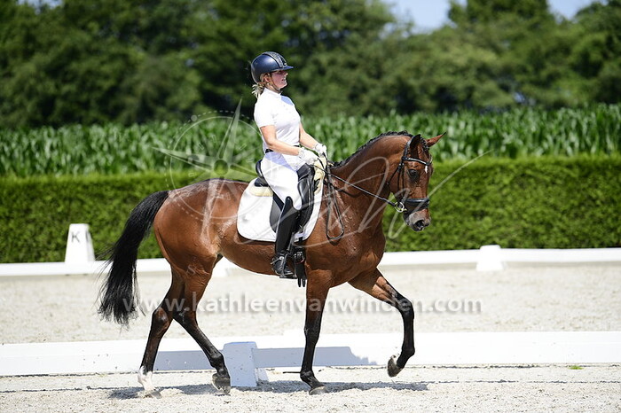 Rowan van den Scheur