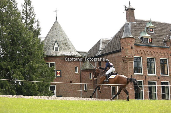 Maarsbergen horsetrails 2024