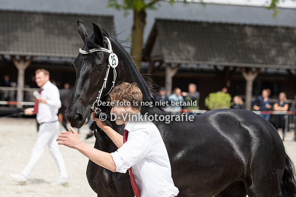 25. Tess van Westkapelle