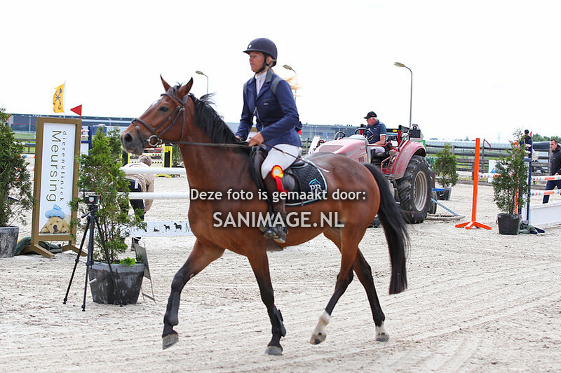 Reigersburgh 26-05-2022 Springen Paarden 110 cm