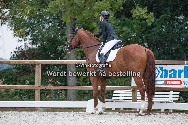 Miranda Nooijen - Loqueen