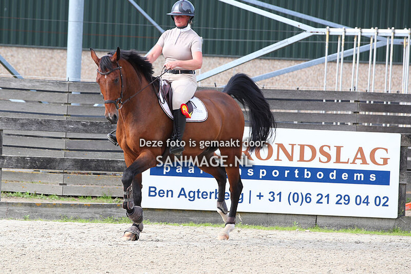 Reigersburgh 16-09-2023 springen paarden 110 cm