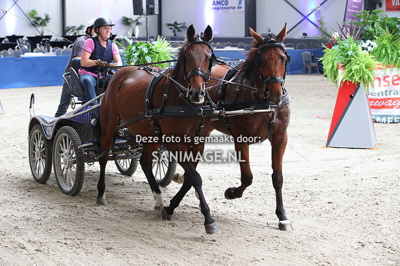 De Voornruiters De Meern Indoor Menmarathon 06-10-2023 Paarden 2-span (middag)