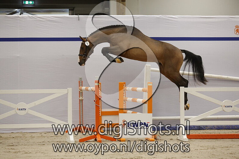 Wonderboy van het Bevrijdthof v. Arezzo VDL