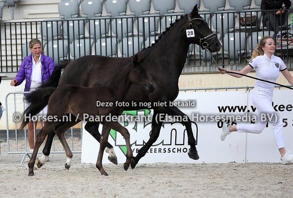 28 Ocean of Fantasy (George Clooney x Imora v. Everdale)