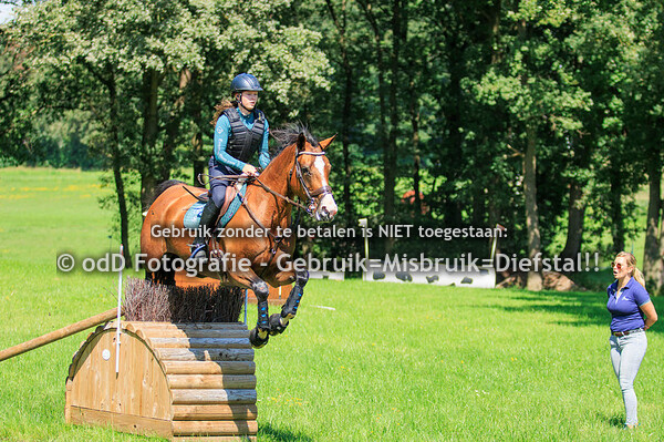 Training Margo van Nijnatten Millstream Groep 1 12.15 09-08-23