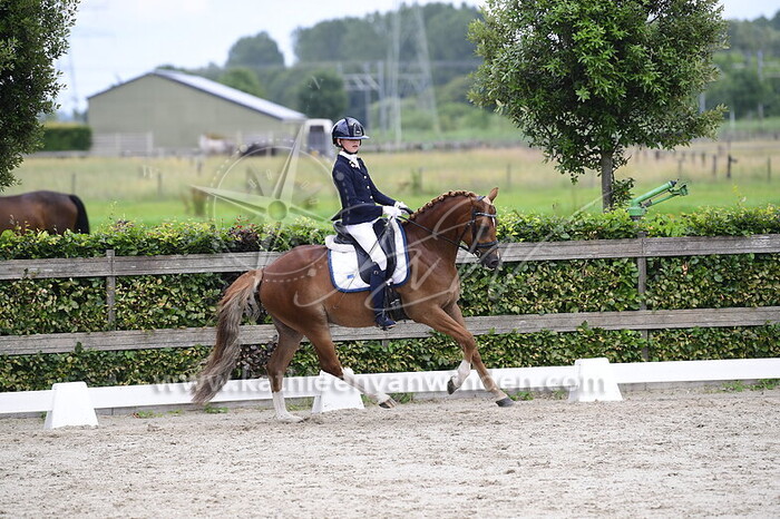 Bo Leijten - Perfect Lightfeet