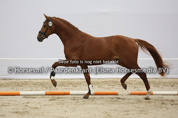 452 (Morricone x Dream Boy)