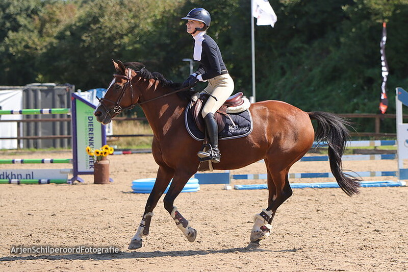 Horka Concours 03-09-2022 Rubriek 6 70-80cm