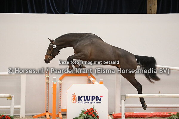 103 Gullit HBC x L'Esprit