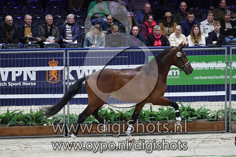 Sirvano's Sjors v. For Ferrero