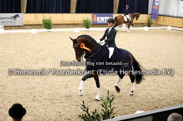 KWPN Hengstencompetitie dressuur Klasse M