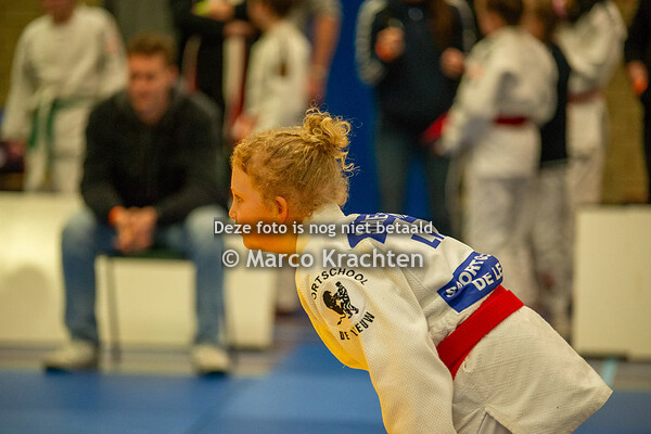 33e International SHIZENTAI OPEN 