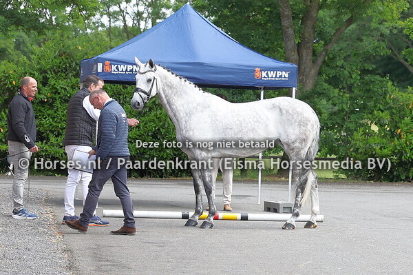 23-05-25 Stbkeuring KWPN IJsselmuiden