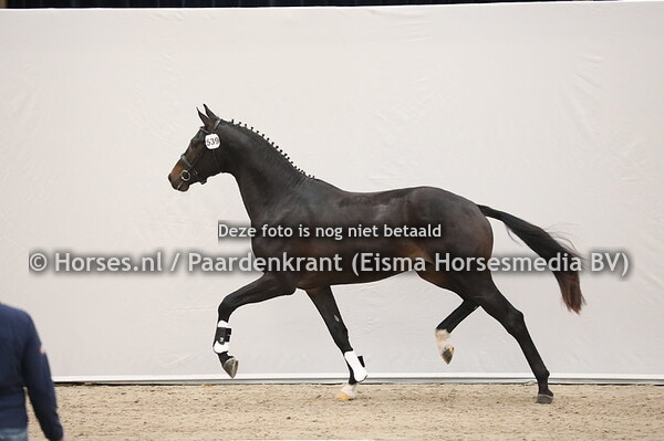 539 Painted Black x Uphill