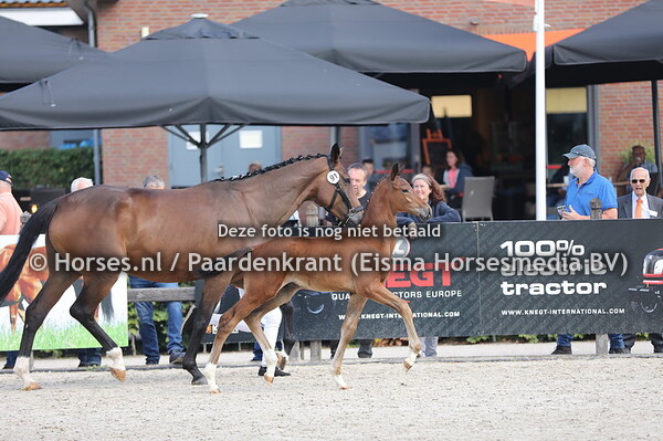 91 Samba vd Watermolen