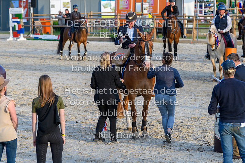 O4 Working Equitation