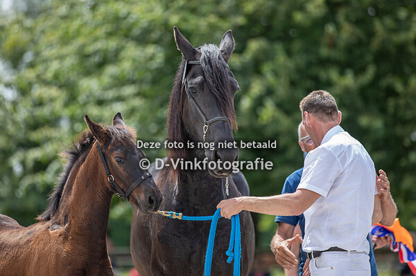 22. Anne van d'n Meulenpad