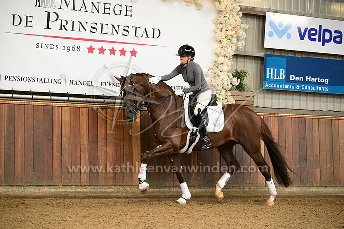 Cynthia Eggenkamp - Sensation Gold