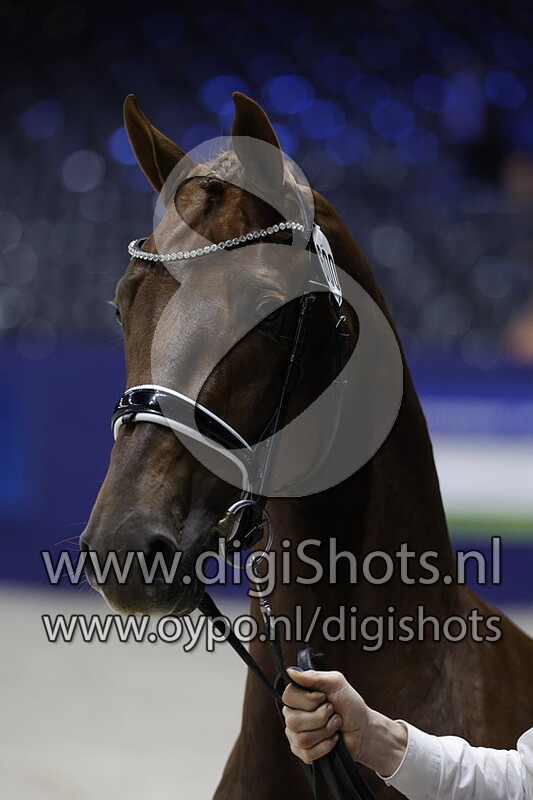 Ronaldo K v. Alexandro P - 600