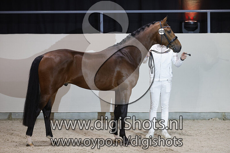 O'Toto van de Wimphof v. Glock's Toto Jr