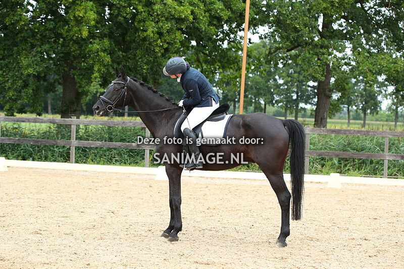 Manege Groenewoude Dressuur 17-08-2025 Ring 2 9.00 - 10.45 uur