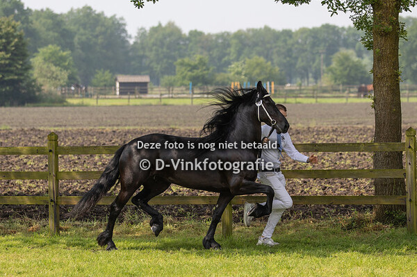 10. Rinske van de Hamelspoel