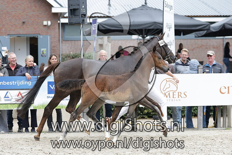 Vinca Vrouwe LK v. Barton VDL