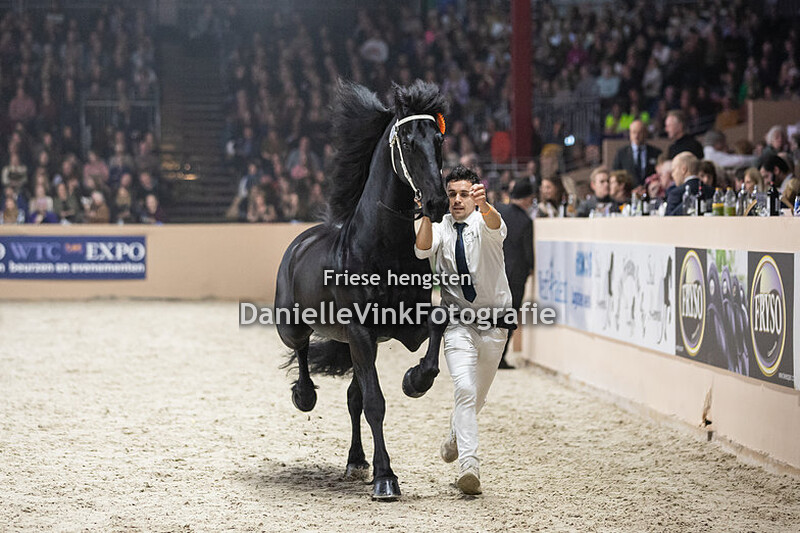 Hengstenkeuring 2023 Fryso 518