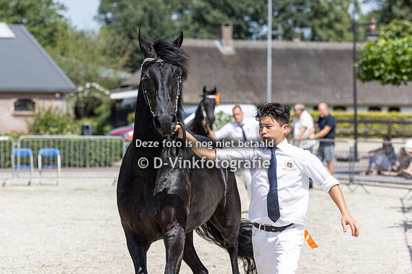 127. Viona fan de Groote Weele