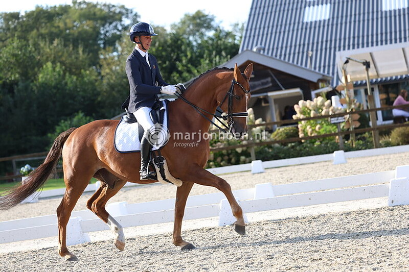 406_Z.STER_L-M_Z_vanaf12.00_14sept