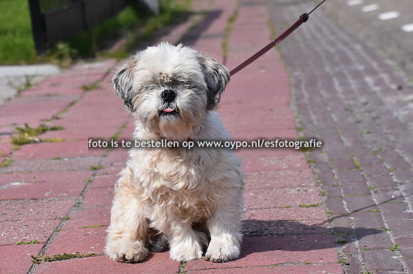 18-5-2023 Spartelvijver