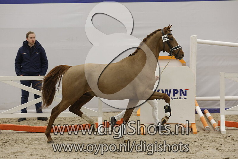 Royal King v. King Karim - 609