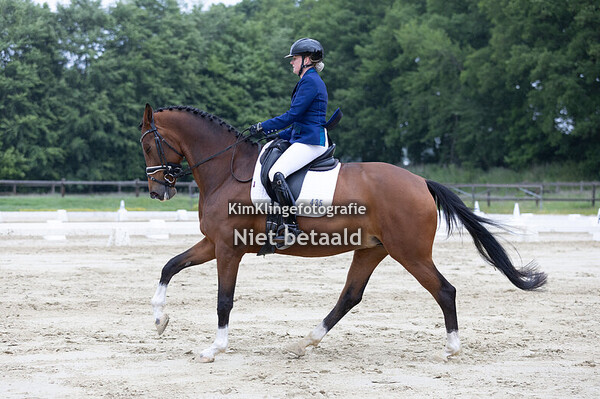 Dressuur lonneker 24/5