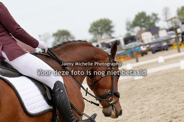 848 Rosalien van Dolder