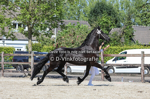 95. Pleun van de Oudekleefsebaan