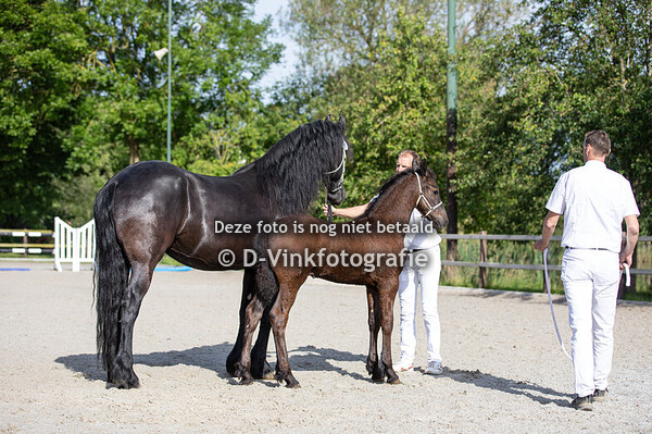 09. Bendiks van de Terp