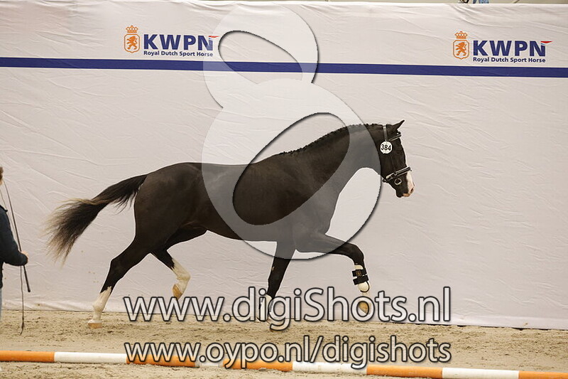 Showtime W v. Jameson RS2