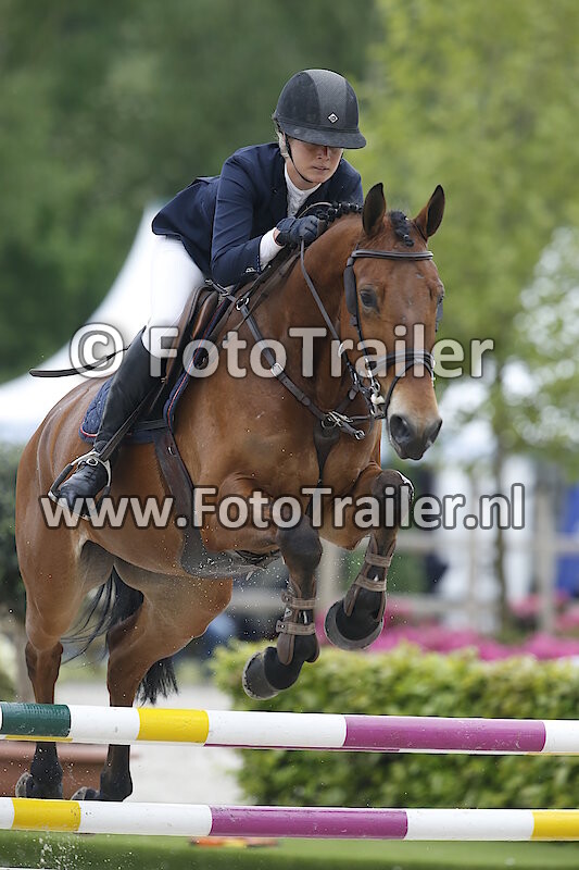 Martine van den Eynden