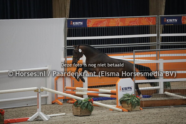 182 Newton (Toulon x Tirmette v. Hinault)