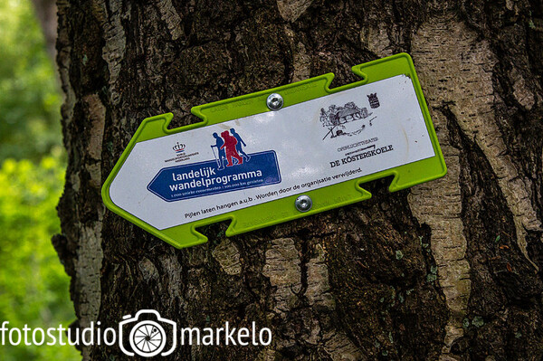 Avond4Daagse Markelo 2023