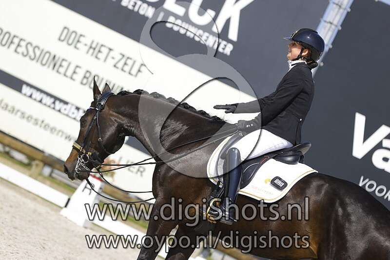 Hulsterhofs Freda Gold