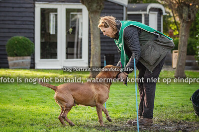 NLV Artemis 2 november 2024