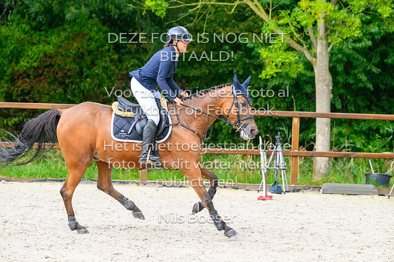 7 Ponies Klasse 80cm