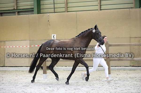 24 Latin Dance Utopia