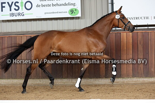 18 Sophisticated Lady (McLaren x Zaragoza v. Jazz)