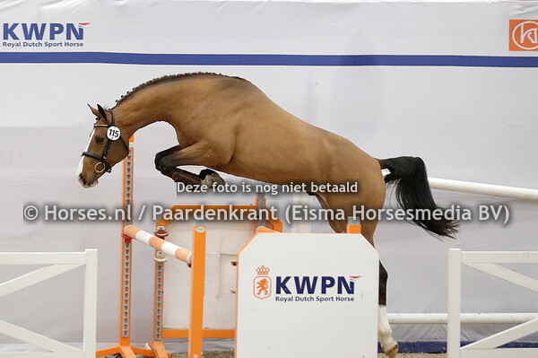 115 Max Max Z (Mattias x Evita v. Clinton)